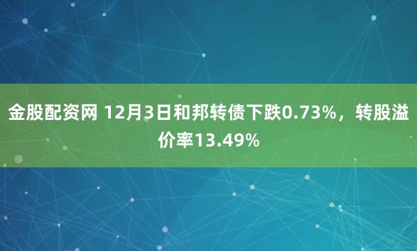 金股配资网 12月3日和邦转债下跌0.73%，转股溢价率13.49%