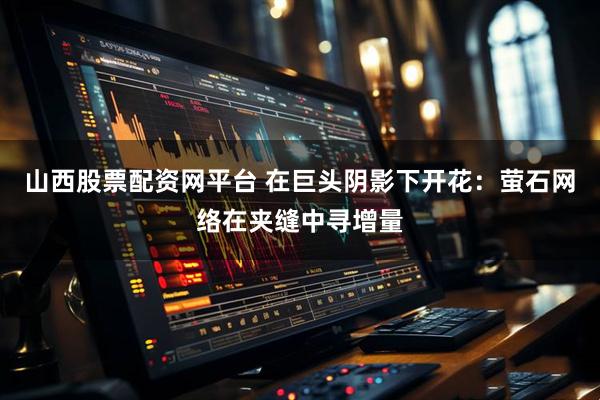 山西股票配资网平台 在巨头阴影下开花：萤石网络在夹缝中寻增量