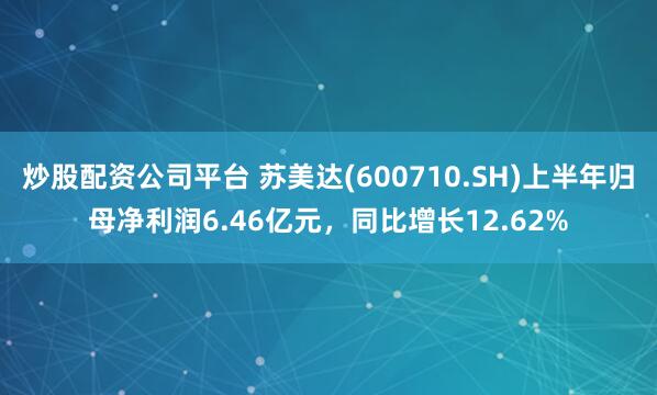 炒股配资公司平台 苏美达(600710.SH)上半年归母净利润6.46亿元，同比增长12.62%