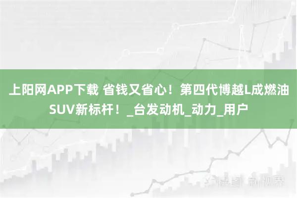 上阳网APP下载 省钱又省心！第四代博越L成燃油SUV新标杆！_台发动机_动力_用户